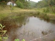 Sitio - ST0311