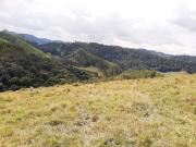 Sitio - ST0461