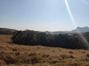 Sitio - ST0516