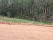 Sitio - ST0517